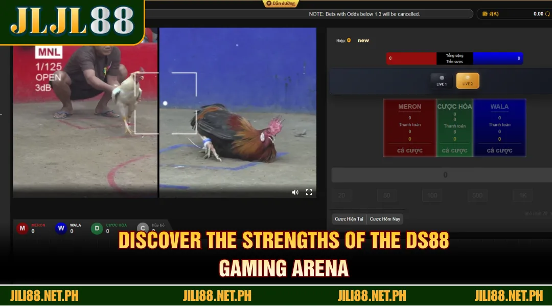 Discover the strengths of the DS88 gaming arena