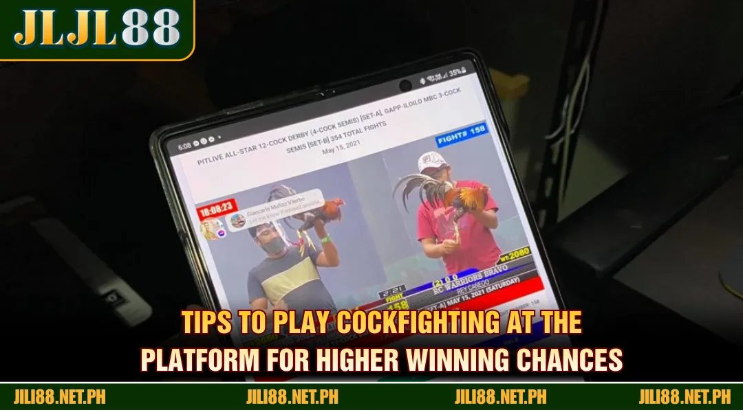 Tips to play cockfighting at the platform for higher winning chances